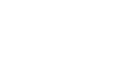 logo-ana